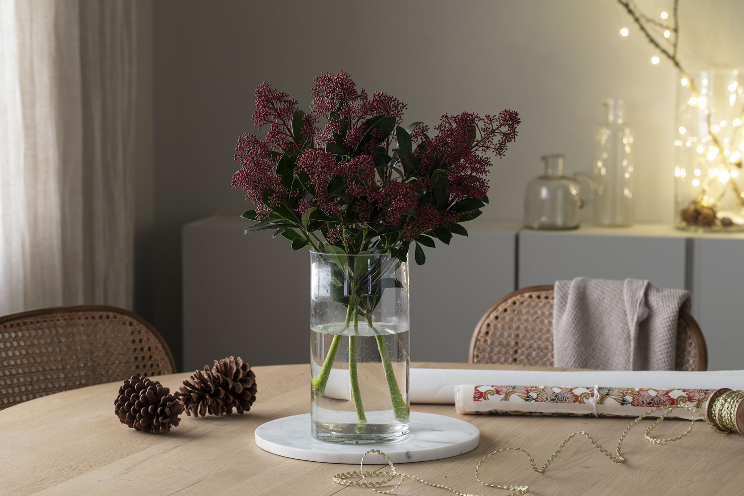 Skimmia i vase